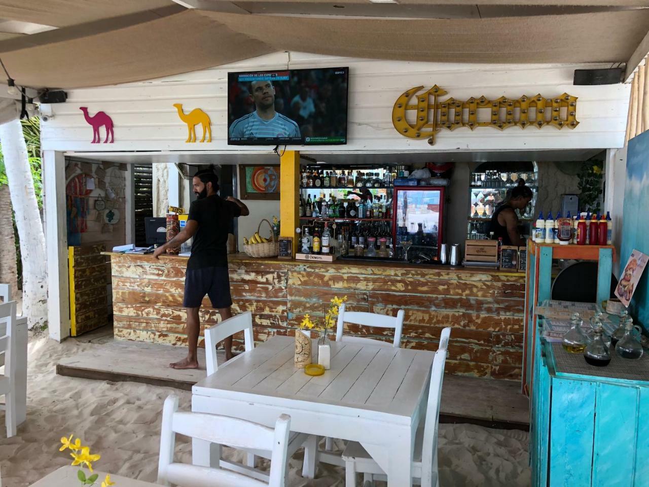 Corales Punta Cana
